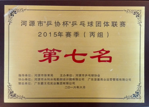 乒乓球团体联赛2015年赛季第七名